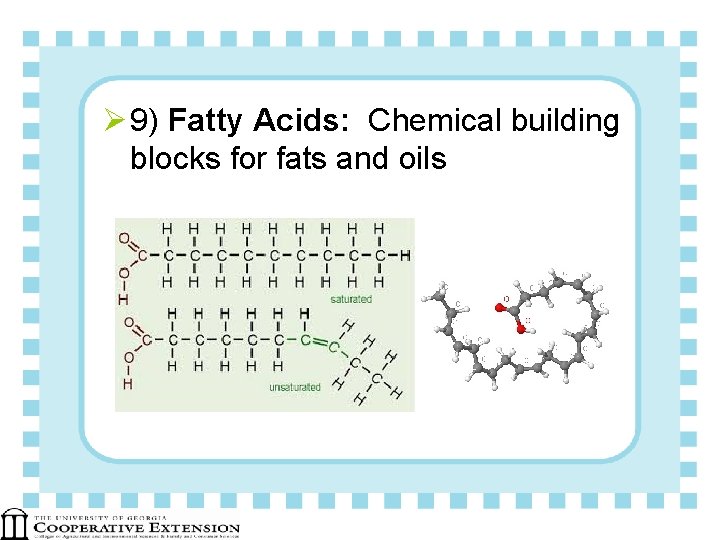 Ø 9) Fatty Acids: Chemical building blocks for fats and oils 