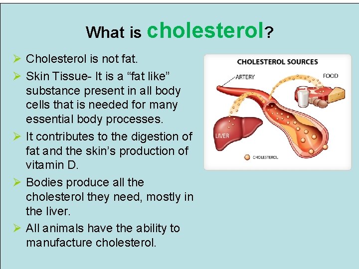 What is cholesterol? Ø Cholesterol is not fat. Ø Skin Tissue- It is a