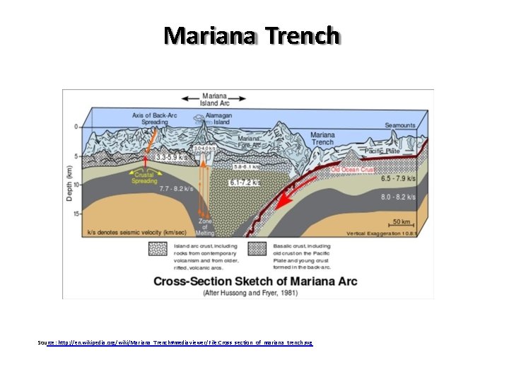 Mariana Trench Source: http: //en. wikipedia. org/wiki/Mariana_Trench#mediaviewer/File: Cross_section_of_mariana_trench. svg 