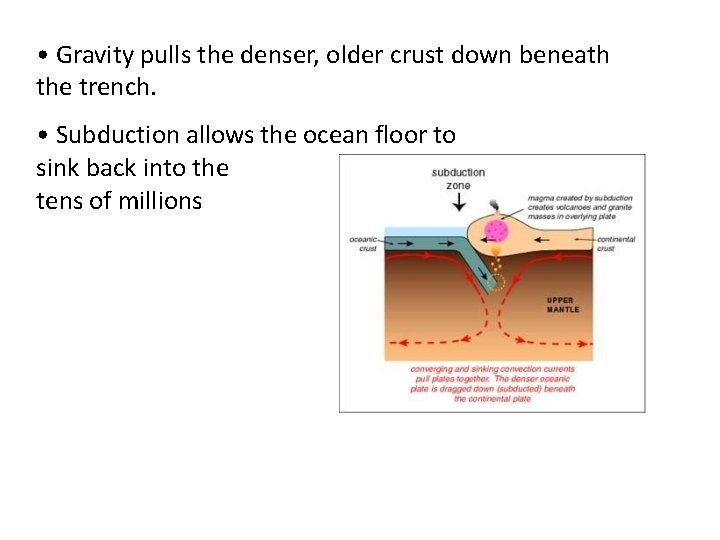  • Gravity pulls the denser, older crust down beneath the trench. • Subduction