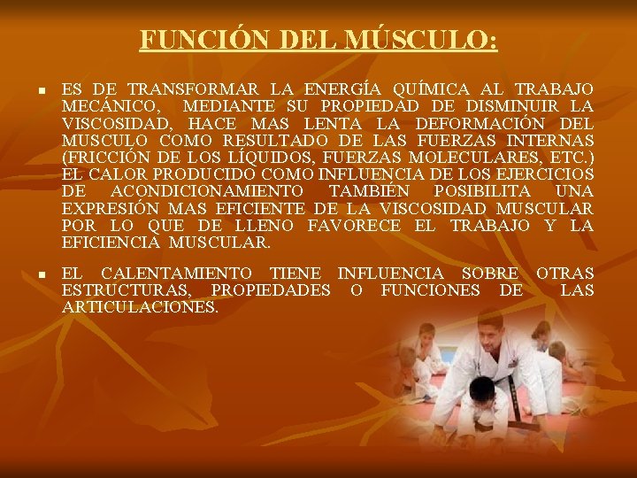 FUNCIÓN DEL MÚSCULO: n n ES DE TRANSFORMAR LA ENERGÍA QUÍMICA AL TRABAJO MECÁNICO,