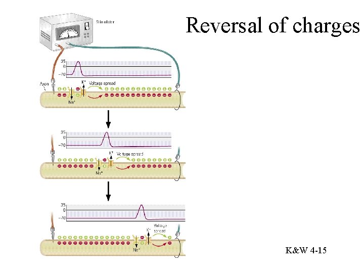 Reversal of charges K&W 4 -15 