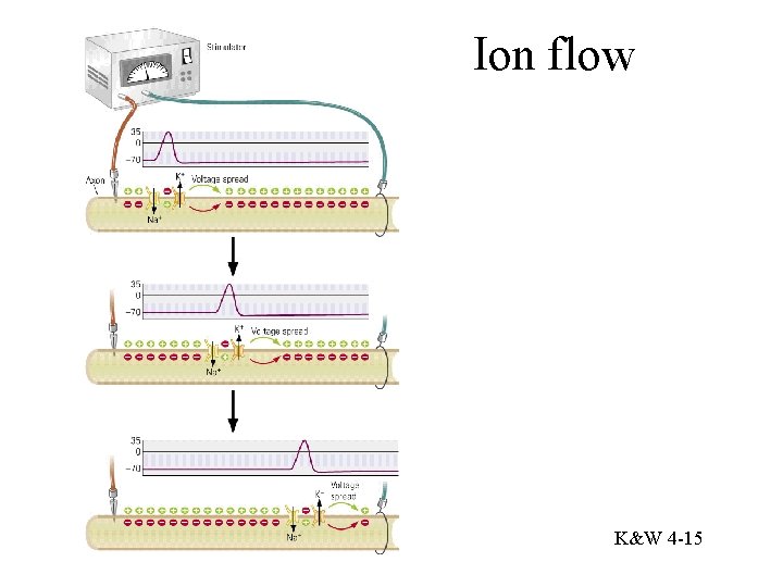 Ion flow K&W 4 -15 