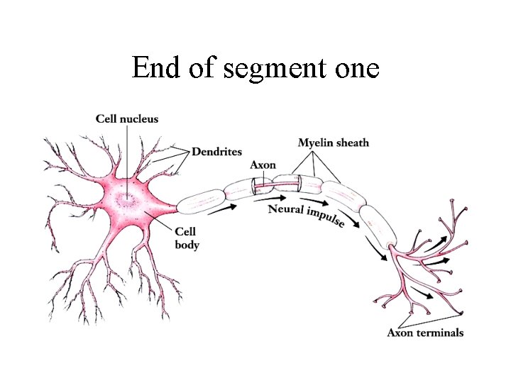 End of segment one 