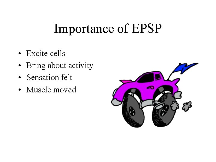 Importance of EPSP • • Excite cells Bring about activity Sensation felt Muscle moved