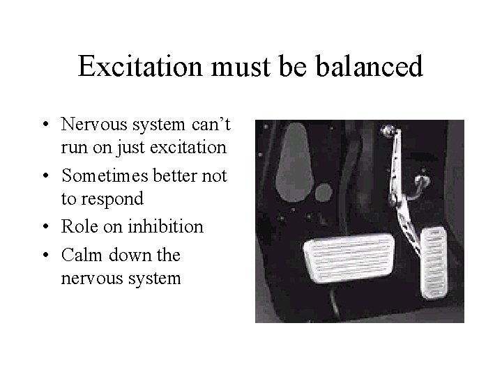 Excitation must be balanced • Nervous system can’t run on just excitation • Sometimes