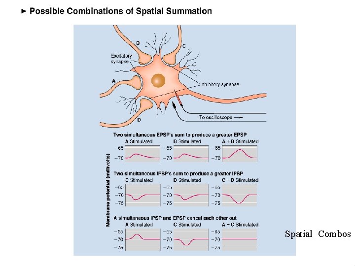  Spatial Combos 