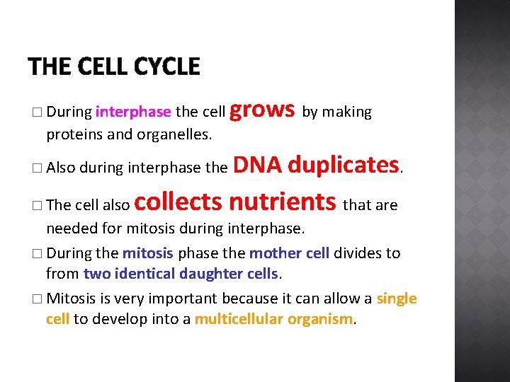 THE CELL CYCLE interphase the cell grows by making proteins and organelles. � During