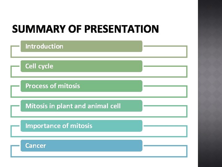 SUMMARY OF PRESENTATION Introduction Cell cycle Process of mitosis Mitosis in plant and animal