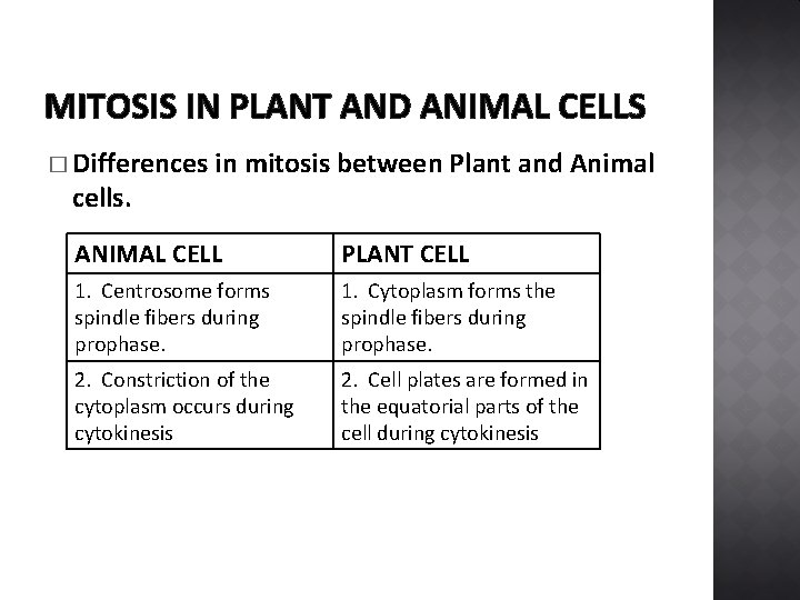 MITOSIS IN PLANT AND ANIMAL CELLS � Differences cells. in mitosis between Plant and