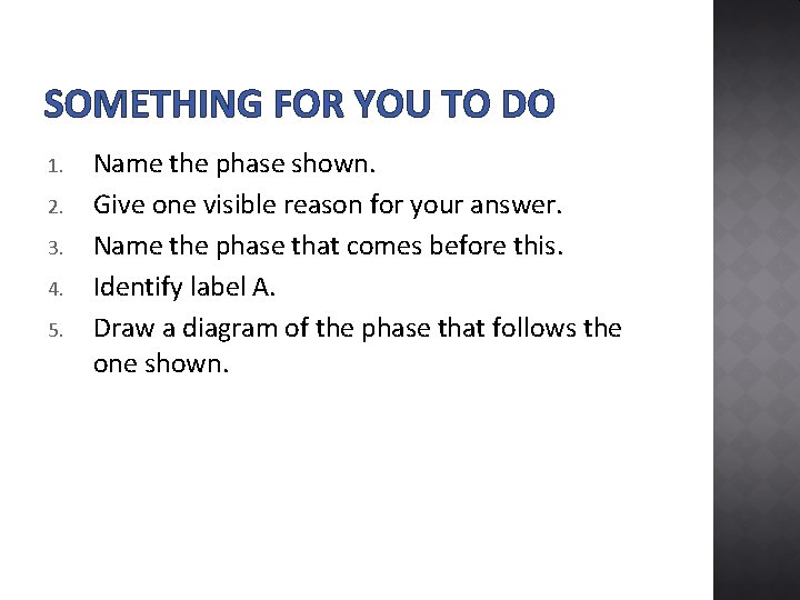 SOMETHING FOR YOU TO DO 1. 2. 3. 4. 5. Name the phase shown.