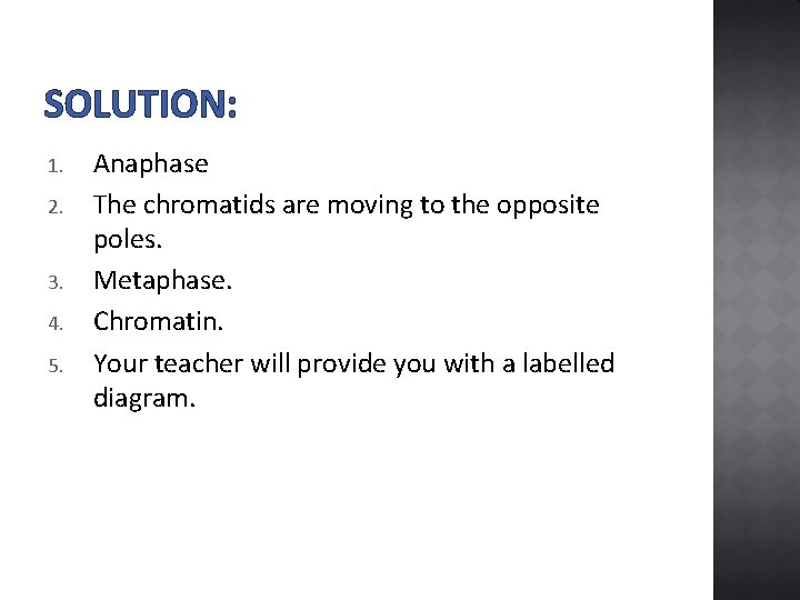 SOLUTION: 1. 2. 3. 4. 5. Anaphase The chromatids are moving to the opposite