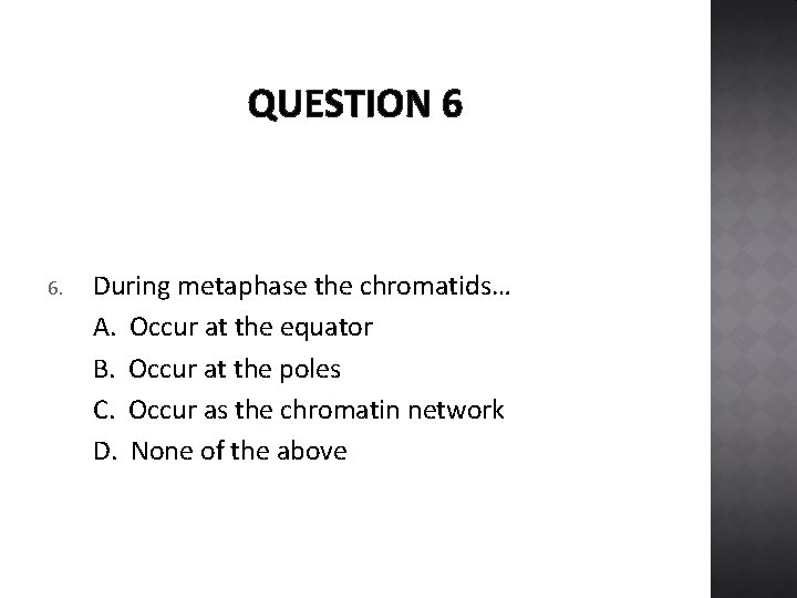 QUESTION 6 6. During metaphase the chromatids… A. Occur at the equator B. Occur