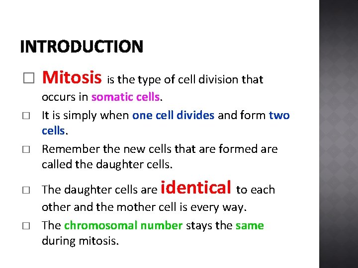 INTRODUCTION � � � Mitosis is the type of cell division that occurs in