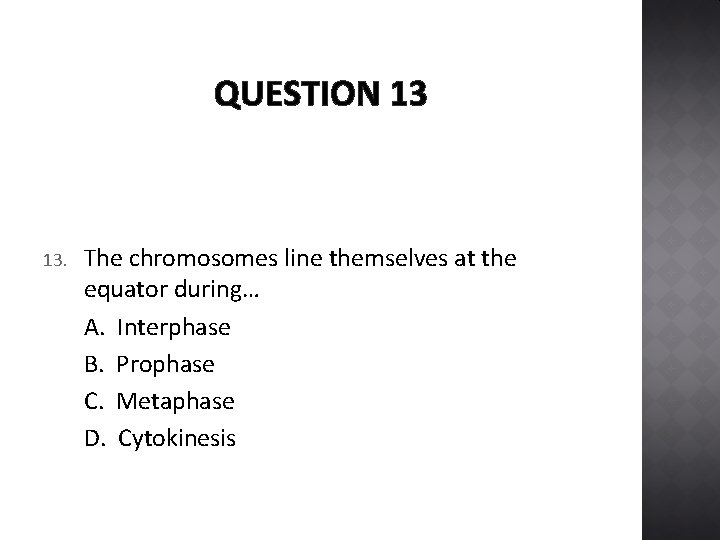 QUESTION 13 13. The chromosomes line themselves at the equator during… A. Interphase B.