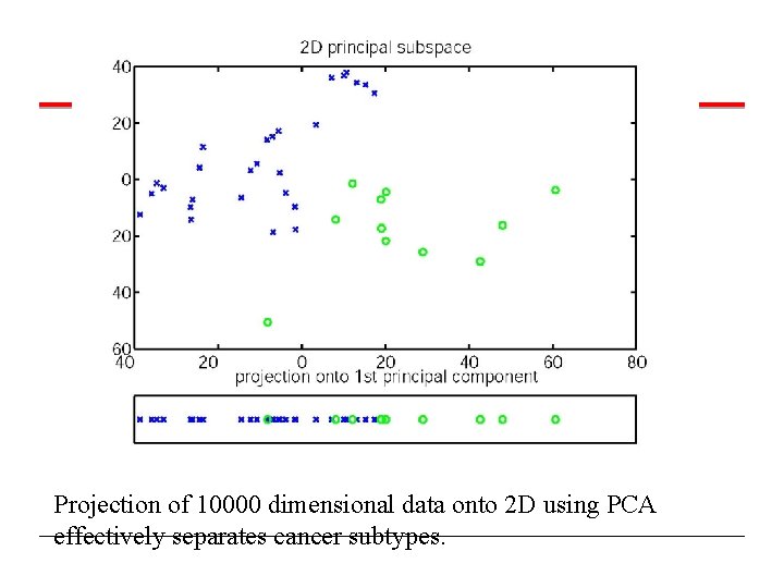 Projection of 10000 dimensional data onto 2 D using PCA effectively separates cancer subtypes.