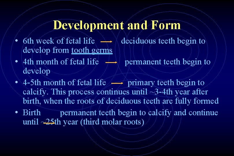 Development and Form • 6 th week of fetal life deciduous teeth begin to