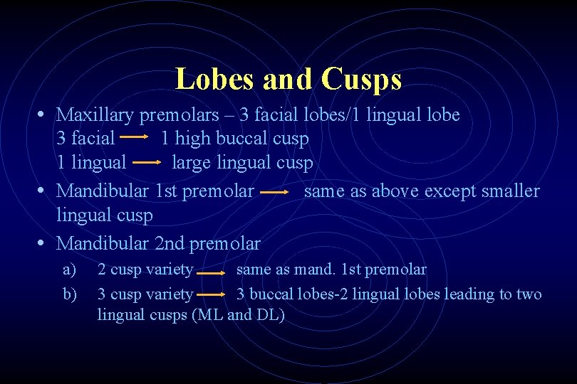 Lobes and Cusps • Maxillary premolars – 3 facial lobes/1 lingual lobe 3 facial