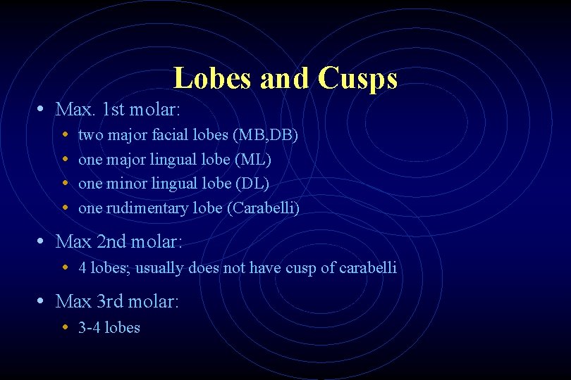 Lobes and Cusps • Max. 1 st molar: • • two major facial lobes