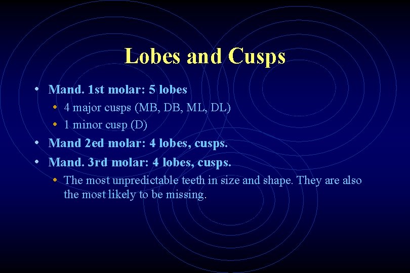 Lobes and Cusps • Mand. 1 st molar: 5 lobes • 4 major cusps