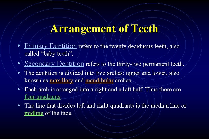 Arrangement of Teeth • Primary Dentition refers to the twenty deciduous teeth, also called