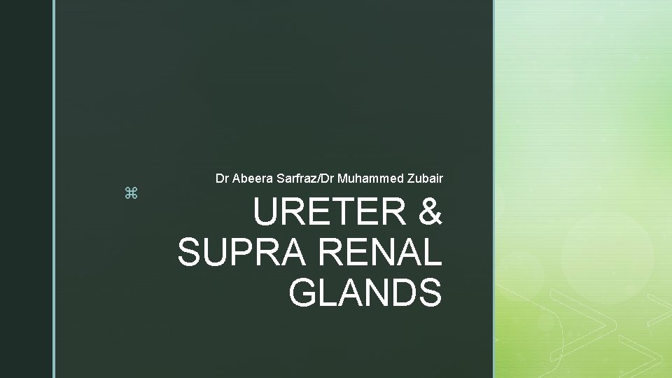 z Dr Abeera Sarfraz/Dr Muhammed Zubair URETER & SUPRA RENAL GLANDS 