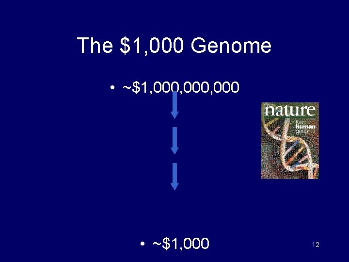 The $1, 000 Genome • ~$1, 000, 000 • ~$1, 000 12 