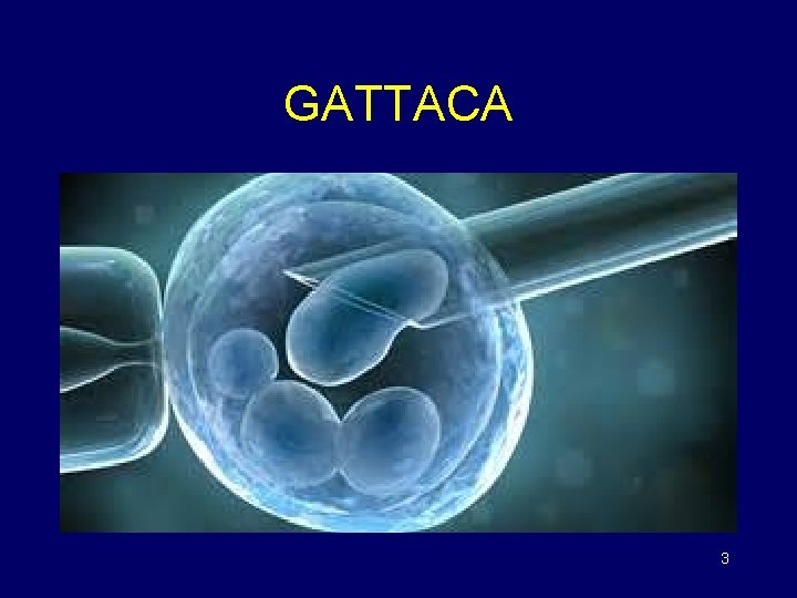 GATTACA 3 