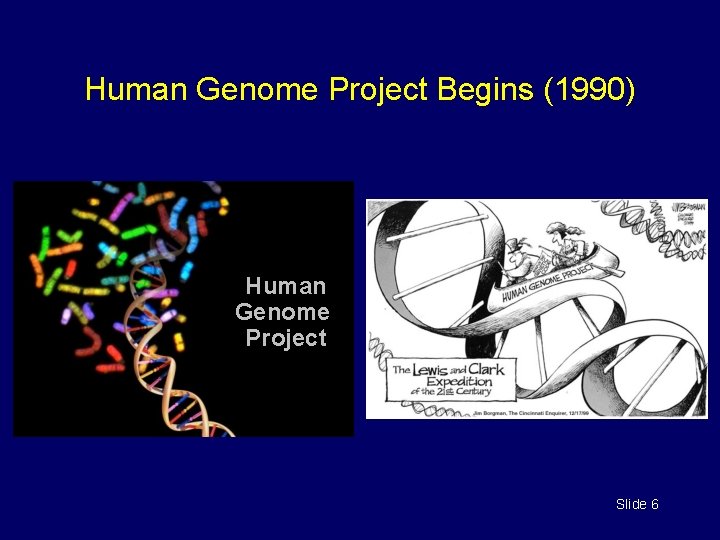 Human Genome Project Begins (1990) Human Genome Project Slide 6 