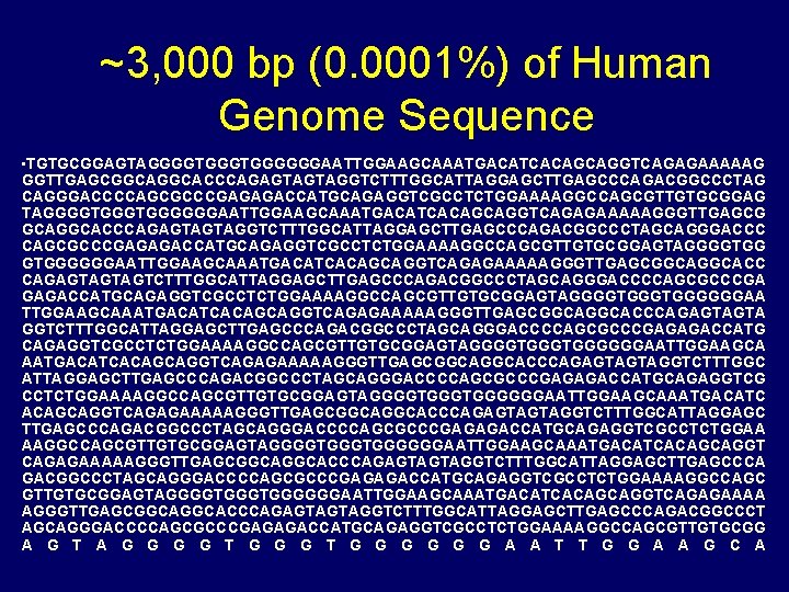 ~3, 000 bp (0. 0001%) of Human Genome Sequence • TGTGCGGAGTAGGGGTGGGGGGAATTGGAAGCAAATGACATCACAGCAGGTCAGAGAAAAAG GGTTGAGCGGCACCCAGAGTAGTAGGTCTTTGGCATTAGGAGCTTGAGCCCAGACGGCCCTAG CAGGGACCCCAGCGCCCGAGAGACCATGCAGAGGTCGCCTCTGGAAAAGGCCAGCGTTGTGCGGAG TAGGGGTGGGGGGAATTGGAAGCAAATGACATCACAGCAGGTCAGAGAAAAAGGGTTGAGCG