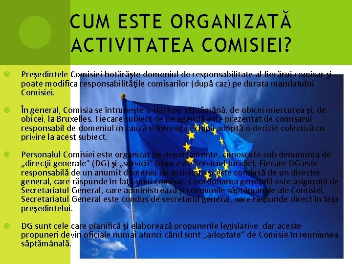 CUM ESTE ORGANIZATĂ ACTIVITATEA COMISIEI? Preşedintele Comisiei hotărăşte domeniul de responsabilitate al fiecărui comisar