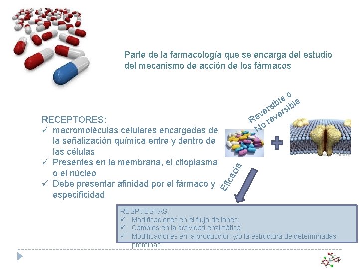 Parte de la farmacología que se encarga del estudio del mecanismo de acción de