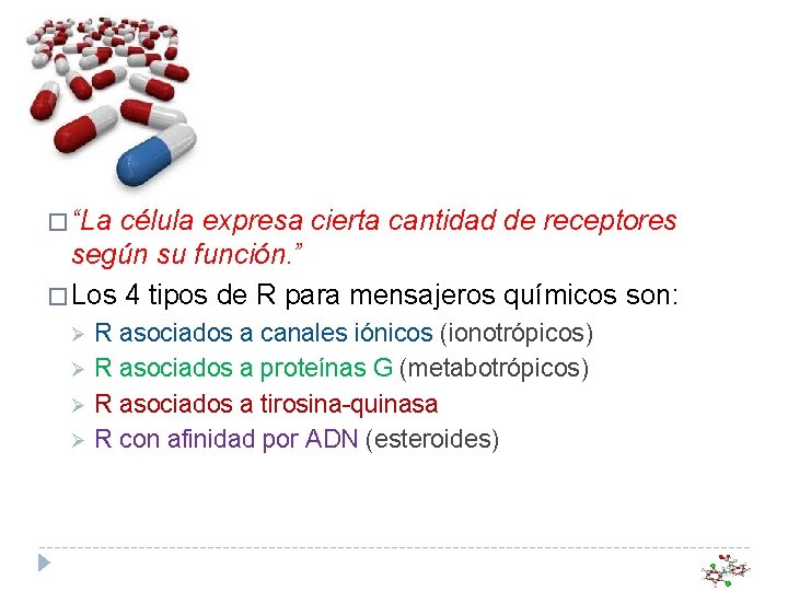 � “La célula expresa cierta cantidad de receptores según su función. ” � Los