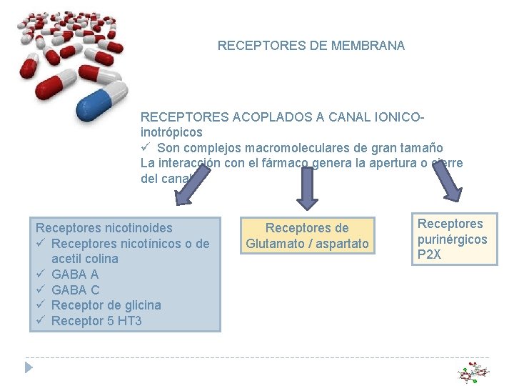 RECEPTORES DE MEMBRANA RECEPTORES ACOPLADOS A CANAL IONICOinotrópicos ü Son complejos macromoleculares de gran