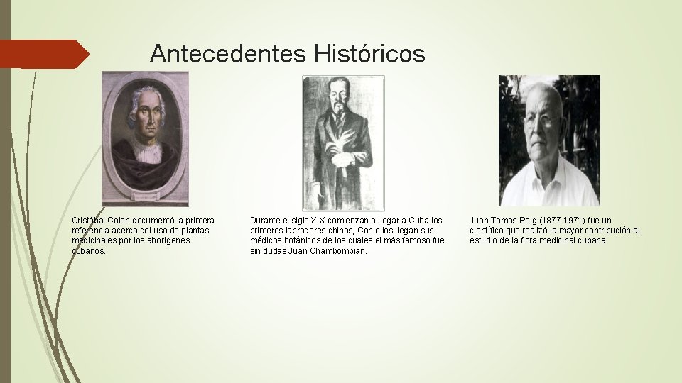 Antecedentes Históricos Cristóbal Colon documentó la primera referencia acerca del uso de plantas medicinales