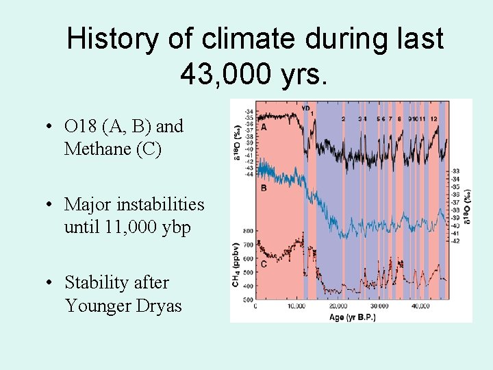 History of climate during last 43, 000 yrs. • O 18 (A, B) and