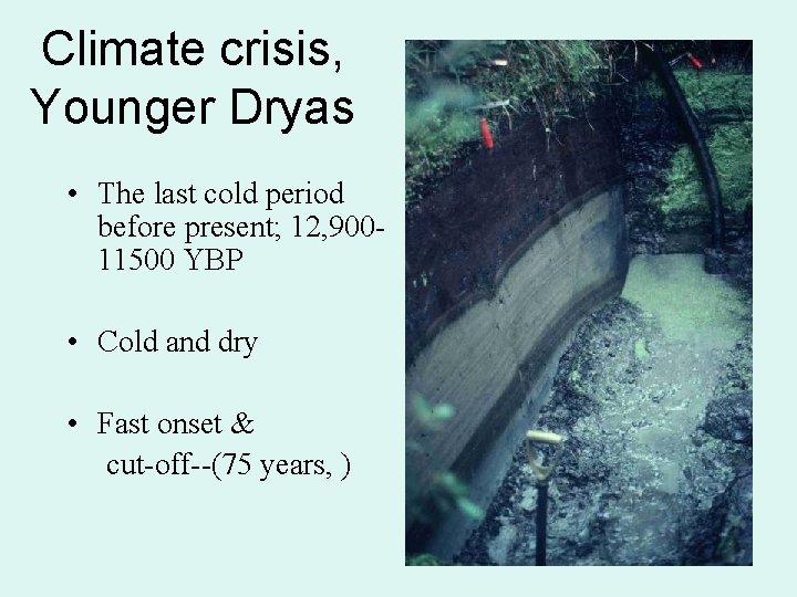 Climate crisis, Younger Dryas • The last cold period before present; 12, 90011500 YBP