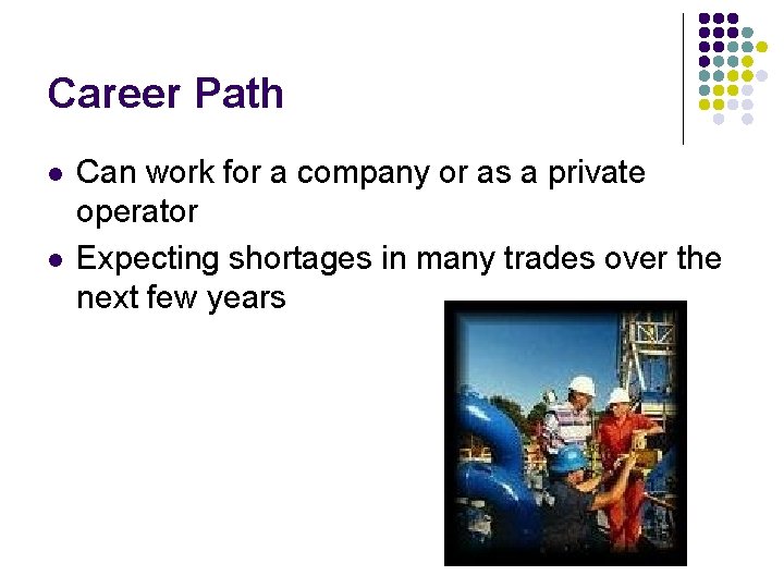 Career Path l l Can work for a company or as a private operator