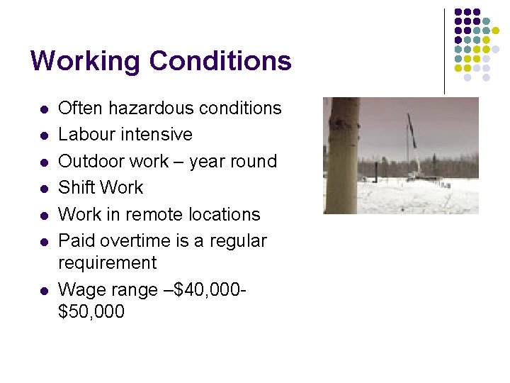 Working Conditions l l l l Often hazardous conditions Labour intensive Outdoor work –