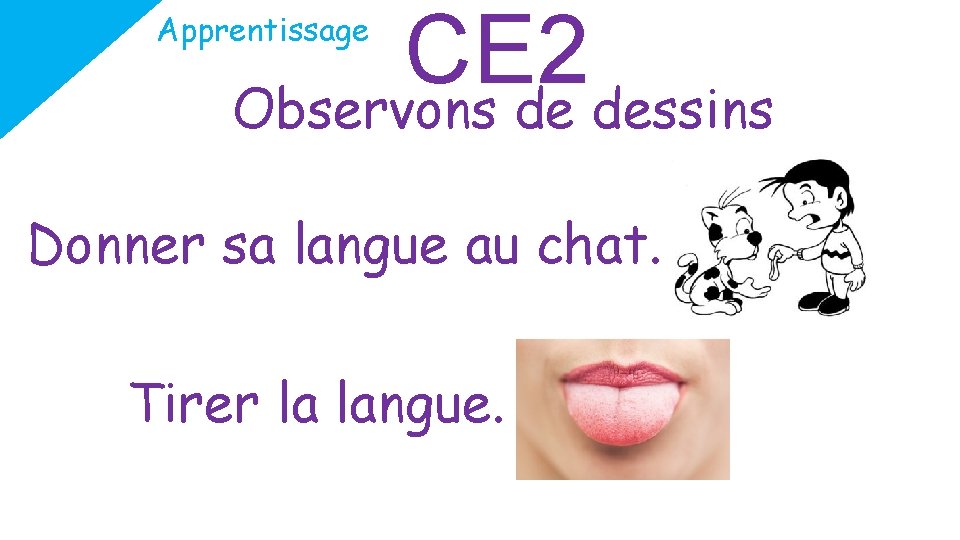 CE 2 Observons de dessins Apprentissage Donner sa langue au chat. Tirer la langue.