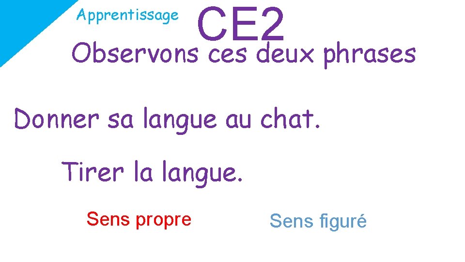 CE 2 Observons ces deux phrases Apprentissage Donner sa langue au chat. Tirer la
