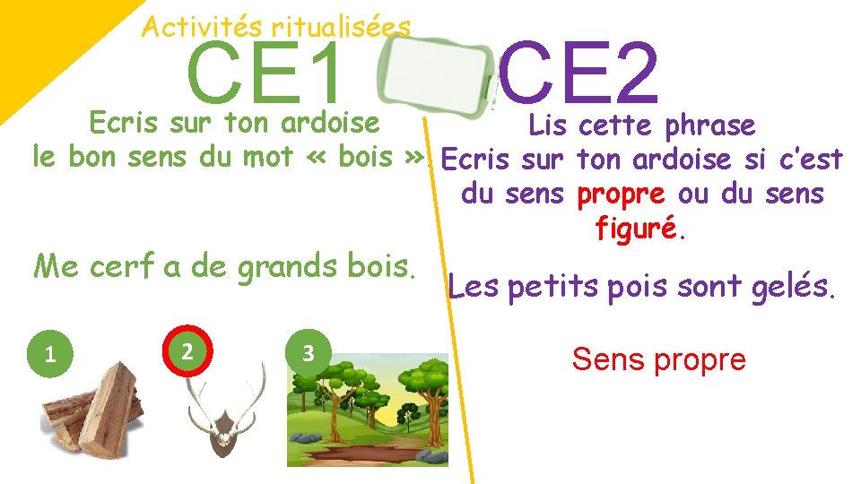 Activités ritualisées CE 1 CE 2 Ecris sur ton ardoise Lis cette phrase le