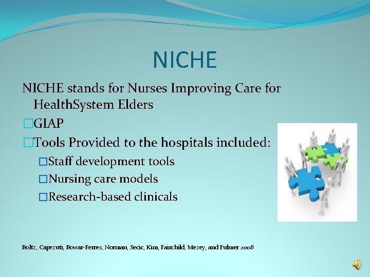 NICHE stands for Nurses Improving Care for Health. System Elders �GIAP �Tools Provided to