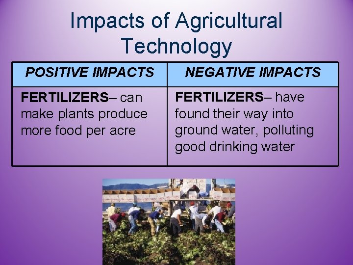 Impacts of Agricultural Technology POSITIVE IMPACTS FERTILIZERS– can make plants produce more food per