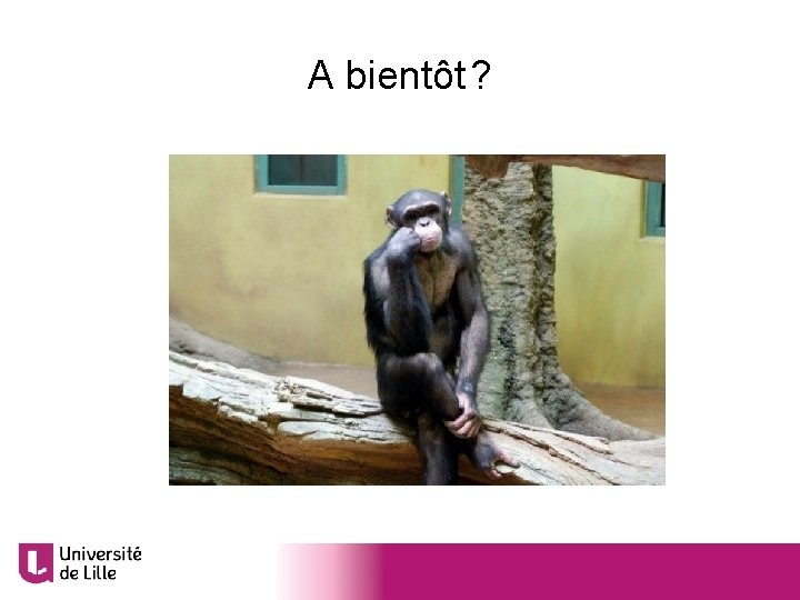 A bientôt ? A bientôt? 