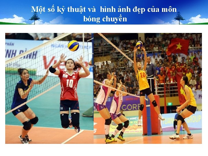 Một số kỷ thuật và hình ảnh đẹp của môn bóng chuyền Một số kỷ thuật và hình ảnh đẹp của môn bóng chuyền