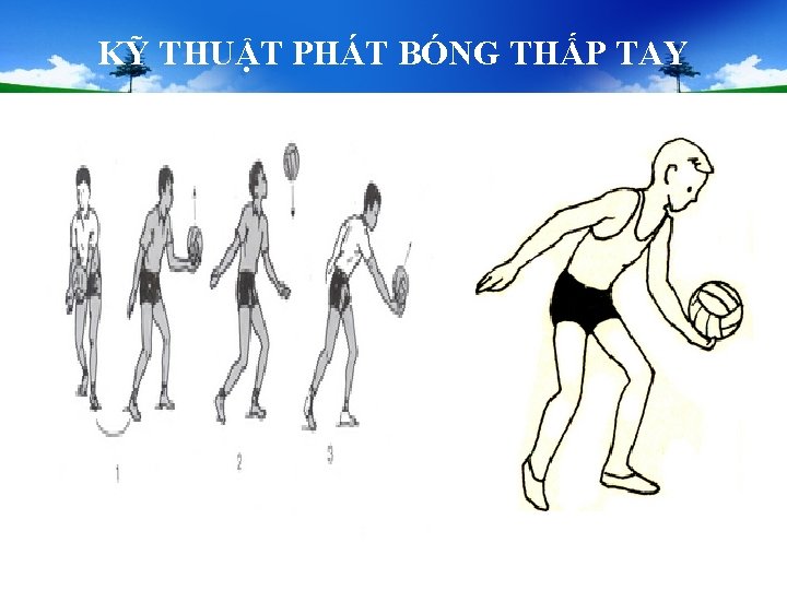 KỸ THUẬT PHÁT BÓNG THẤP TAY KỸ THUẬT PHÁT BÓNG THẤP TAY
