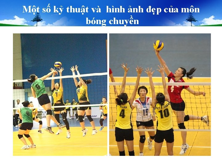 Một số kỷ thuật và hình ảnh đẹp của môn bóng chuyền Một số kỷ thuật và hình ảnh đẹp của môn bóng chuyền