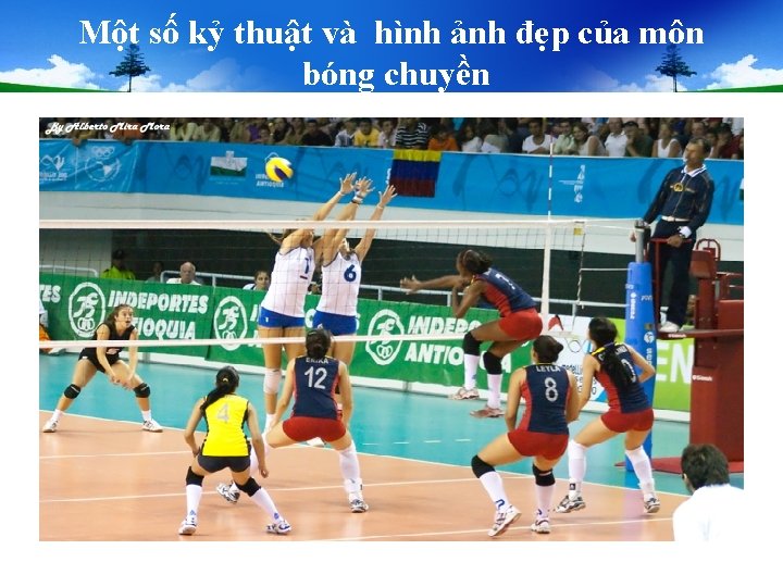 Một số kỷ thuật và hình ảnh đẹp của môn bóng chuyền Một số kỷ thuật và hình ảnh đẹp của môn bóng chuyền