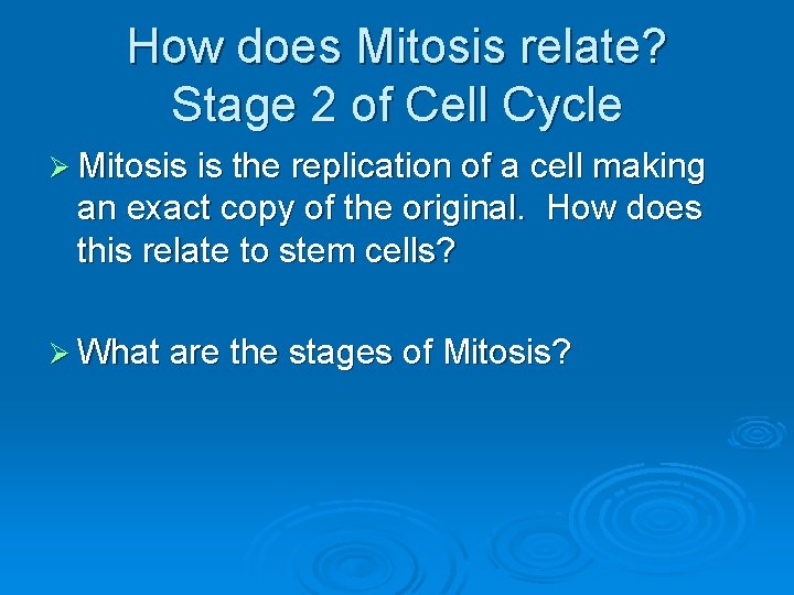 How does Mitosis relate? Stage 2 of Cell Cycle Ø Mitosis is the replication